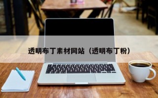 透明布丁素材网站（透明布丁粉）